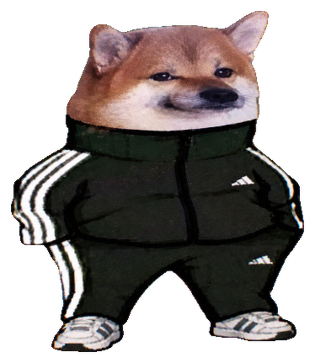 Tracksuit Doge